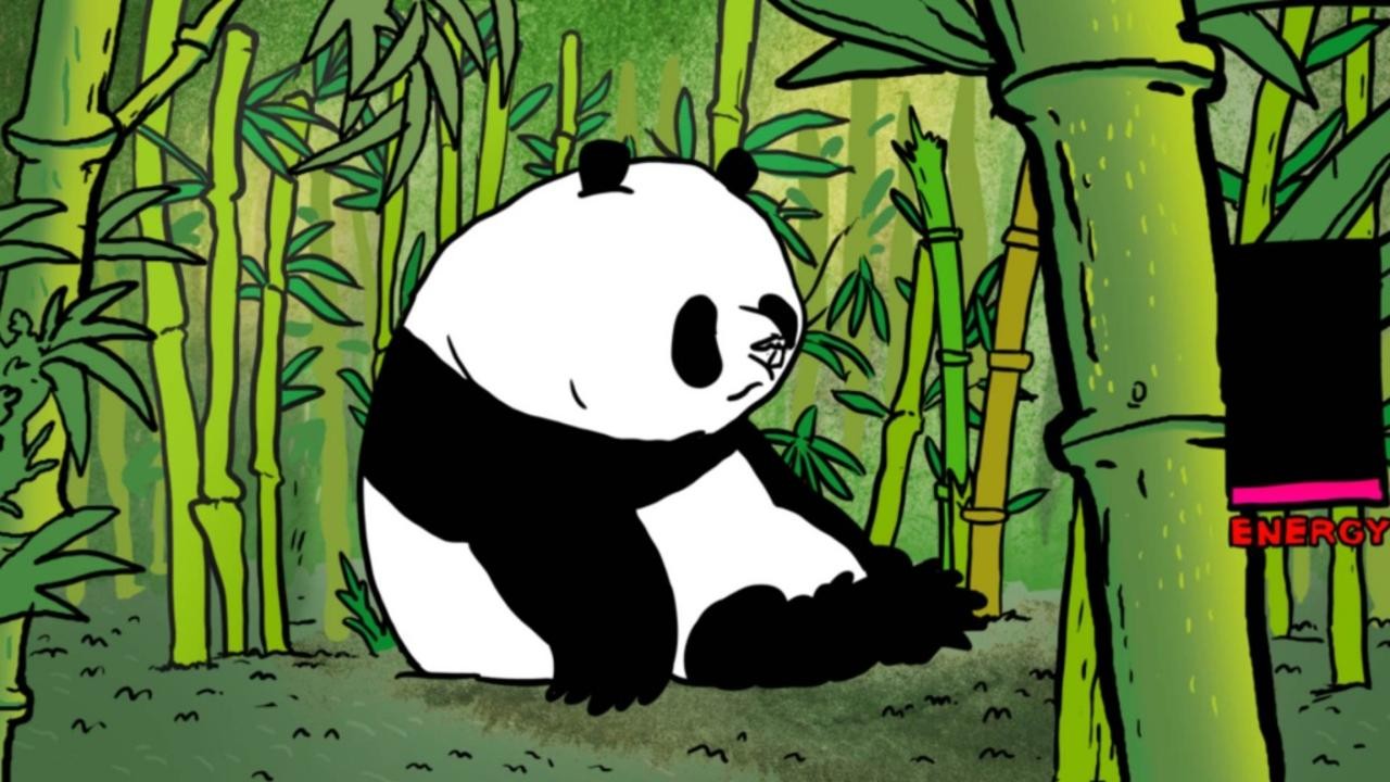 Pandas
