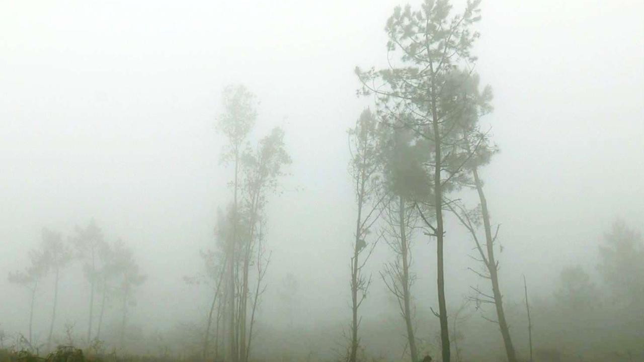 Coast of Death