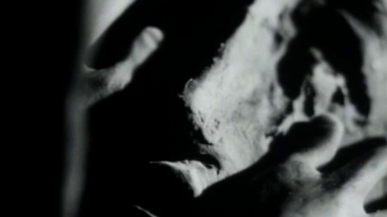 Interior Portrait 1999 Mubi