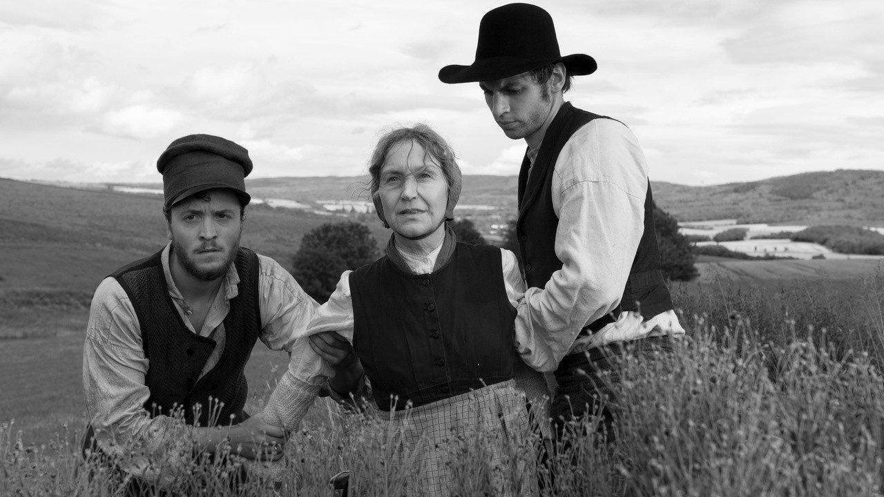 Image du film Heimat: Chronique d'un rêve
