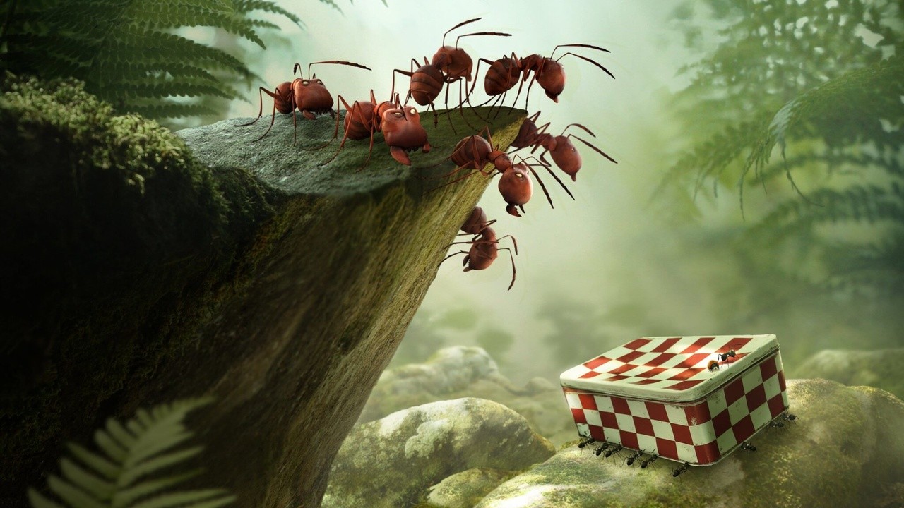 Image du film Minuscule - La vallée des fourmis perdues