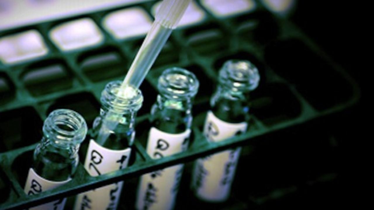 The Human Experiment