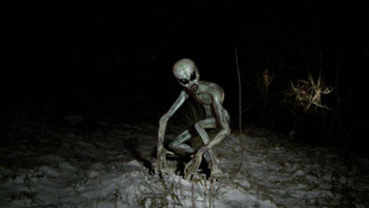 Report 51
