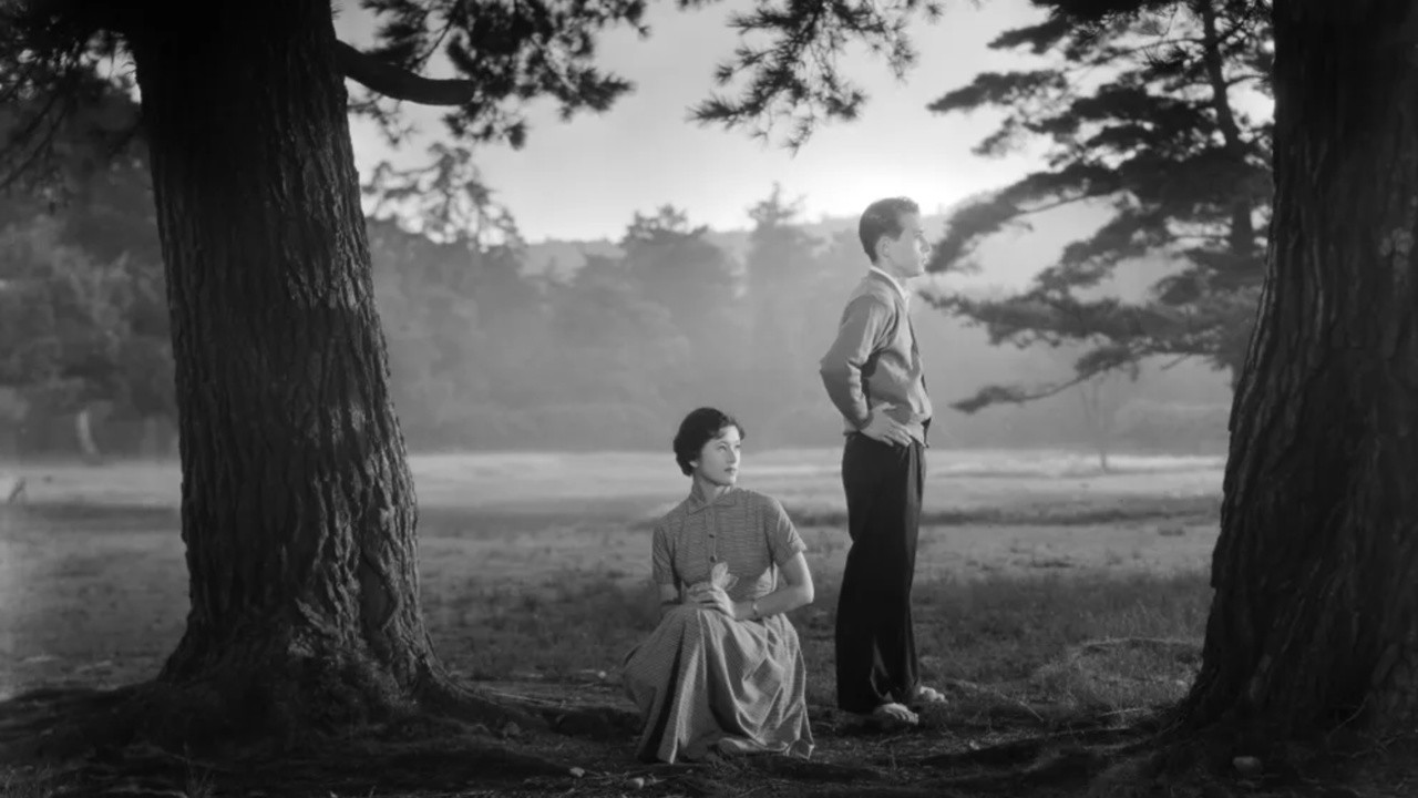 Image du film La Lune s'est levée