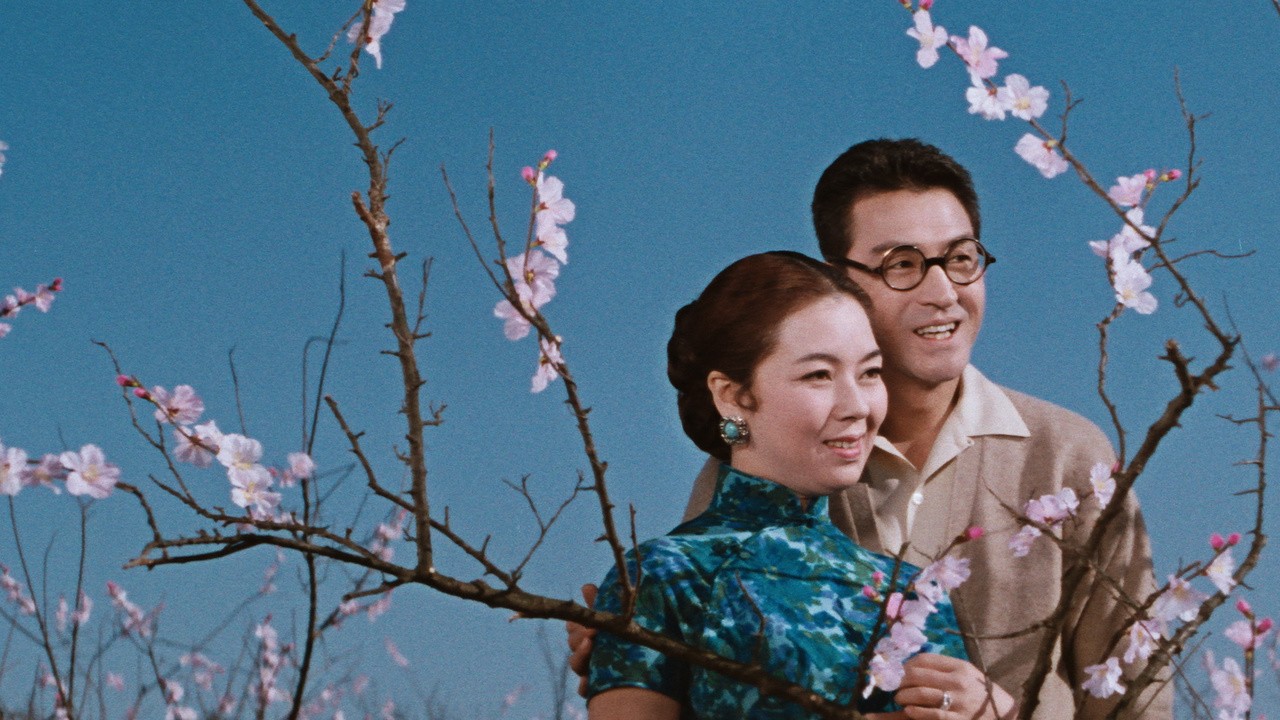 Image du film La Princesse errante