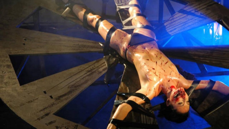 The Torturer