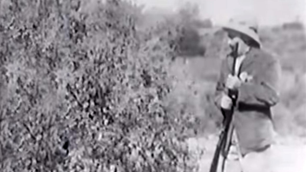 The Brave Hunter