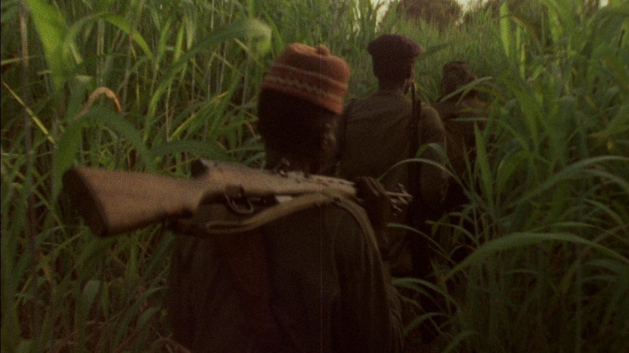 Image du film Concerning Violence
