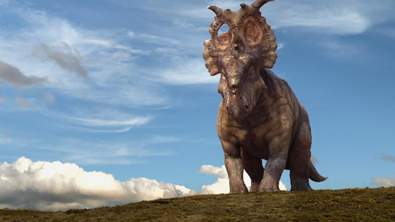 Image du film Fils du minotaure