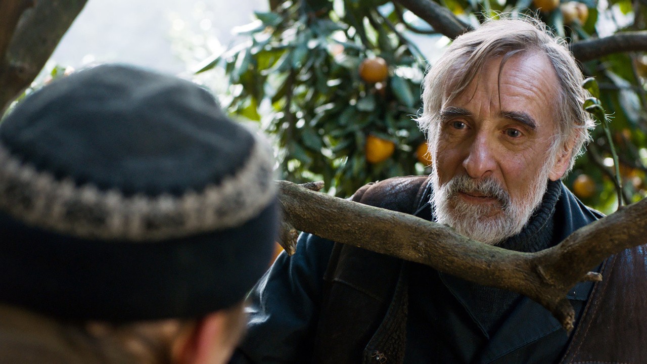 Image du film Mandarines