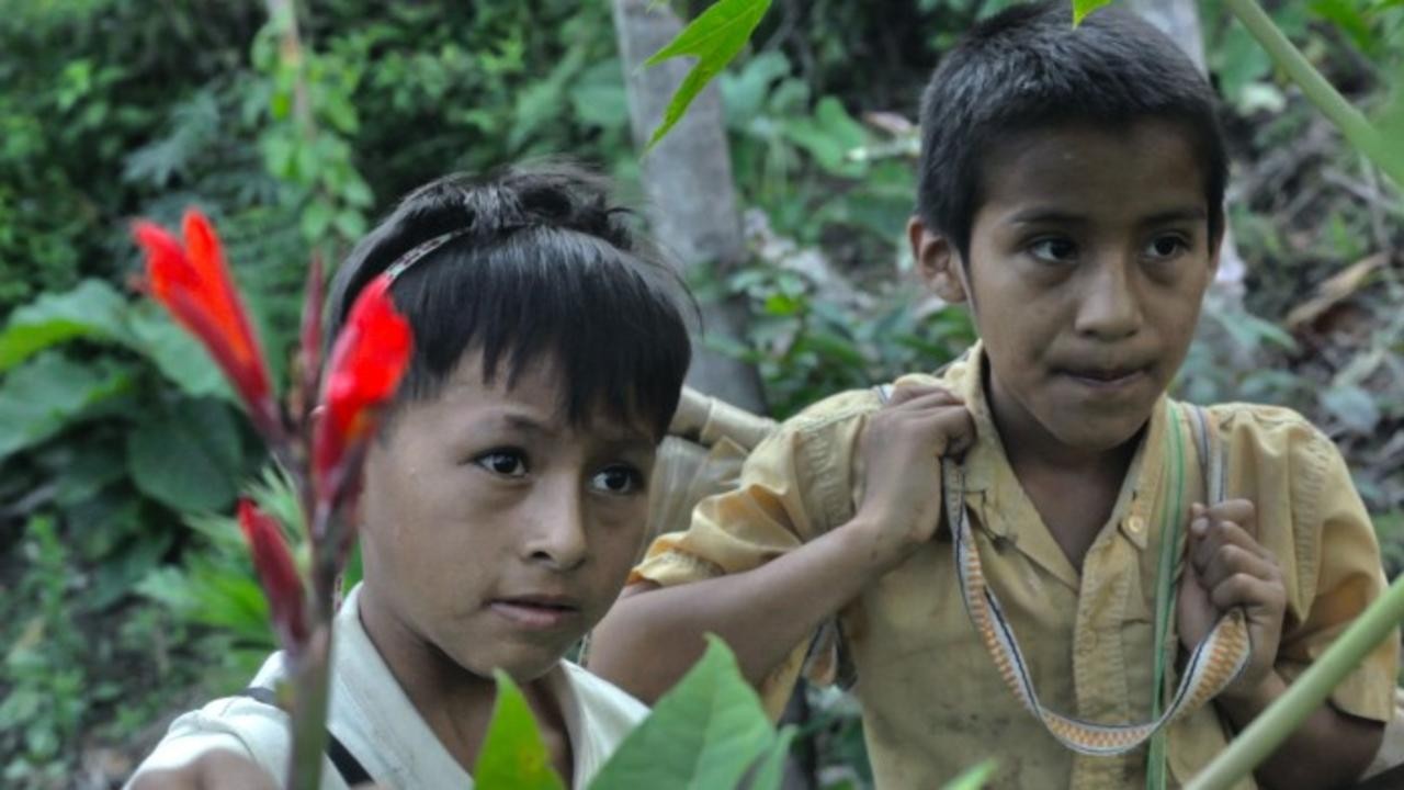 Earth's Children