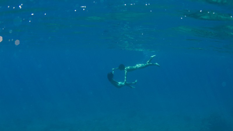 Still the Water