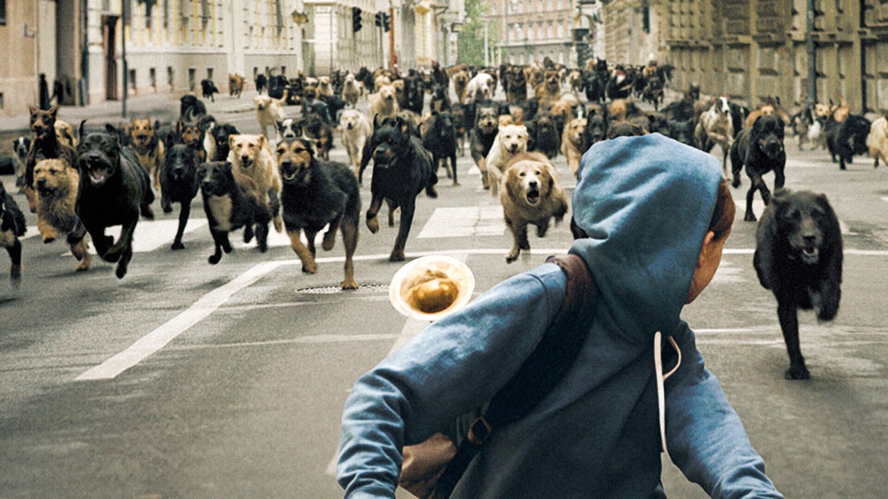 Image du film White God