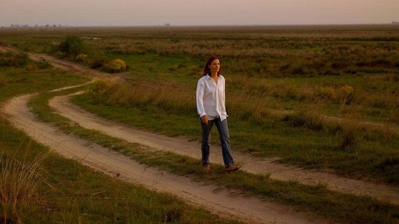 Northeast (2005) | MUBI