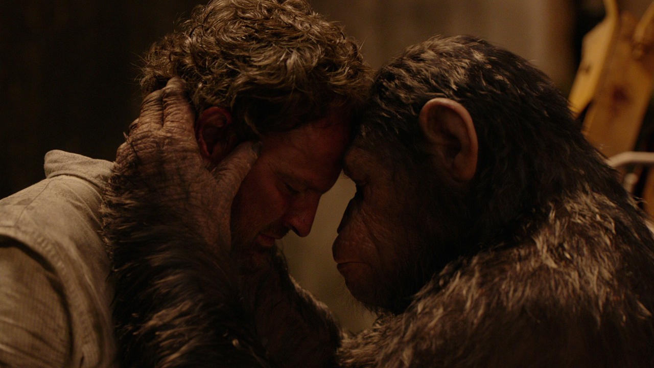 Image du film La planète des singes : L'affrontement