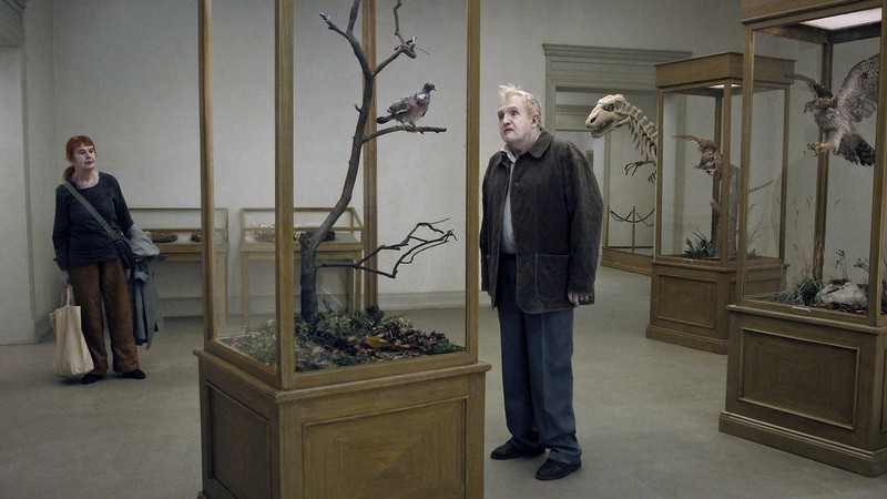 A Pigeon Sat on a Branch Reflecting on Existence