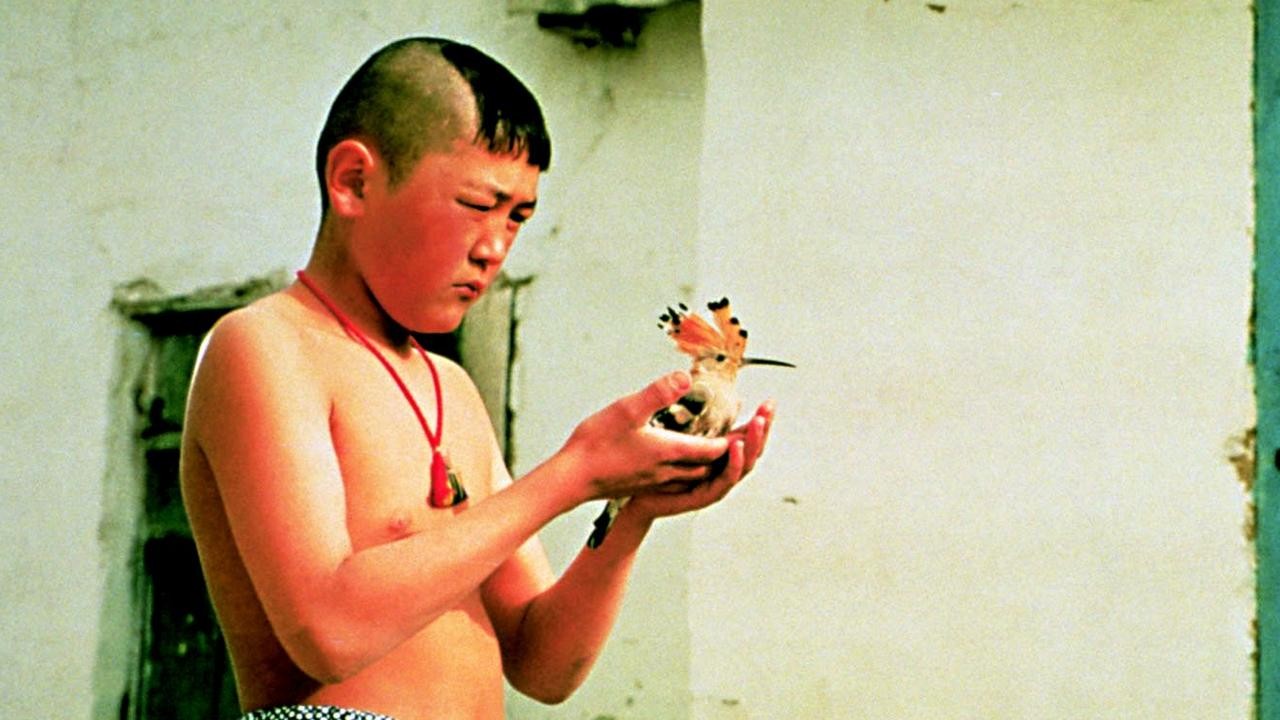 Beshkempir: The Adopted Son