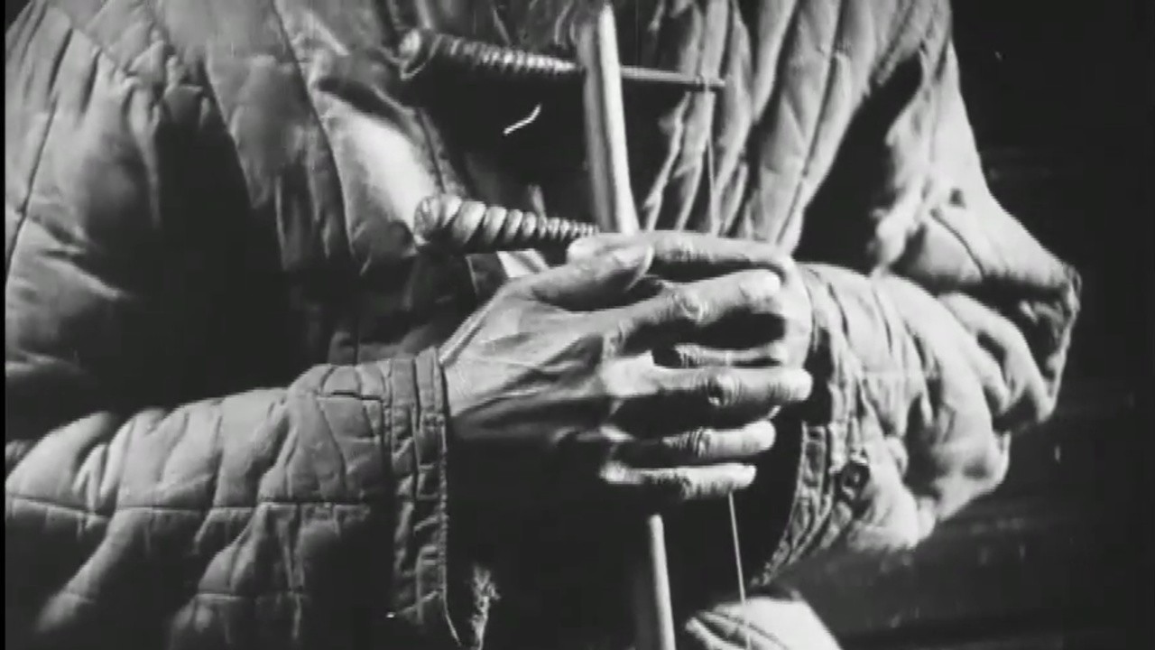 Image du film Le Train mongol