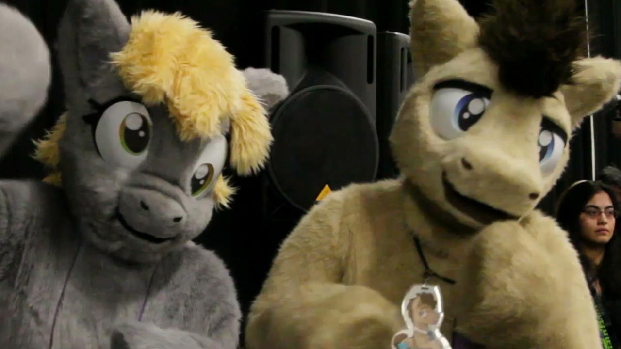 Bronies: The Extremely Unexpected Adult Fans of My Little Pony
