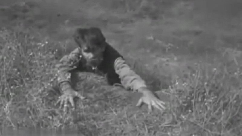 In God We Trust (1931) MUBI