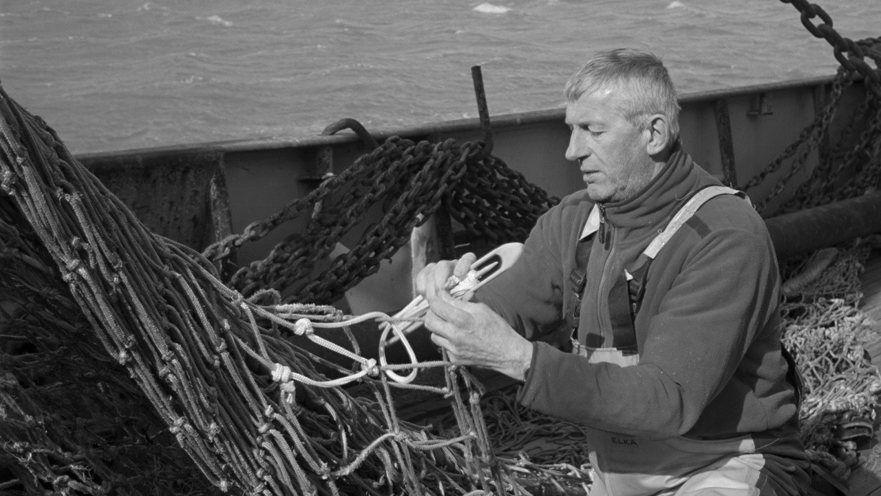 Episode of the Sea