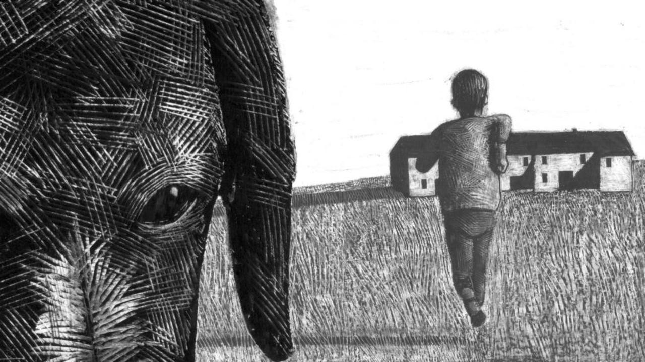 La Memoria dei Cani