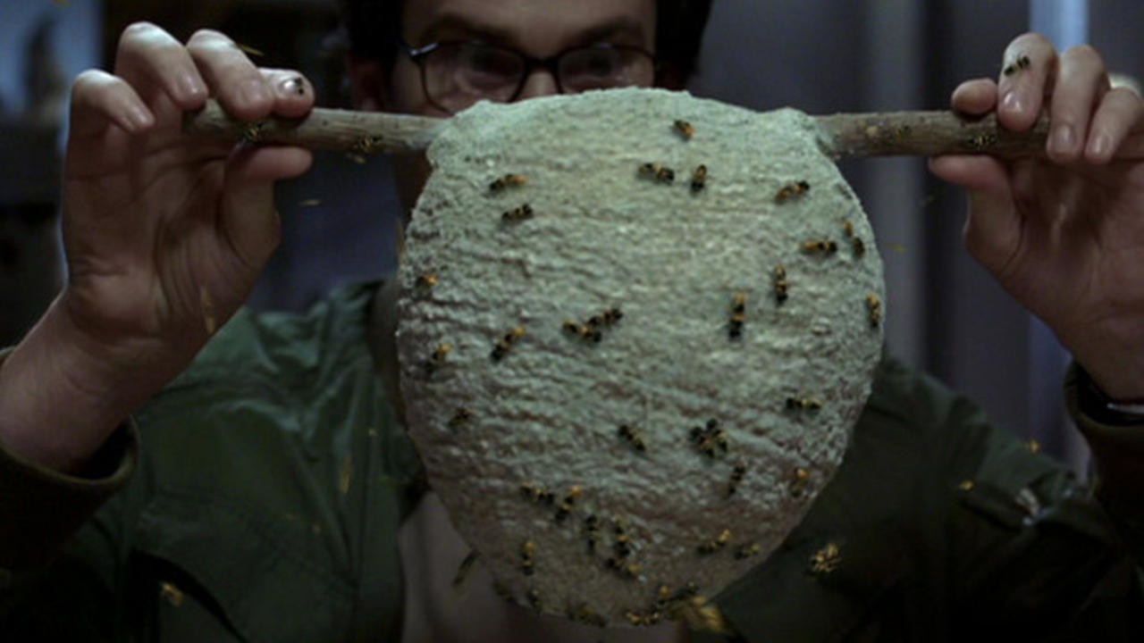 Nightmares & Dreamscapes: From the Stories of Stephen King: The End of the Whole Mess