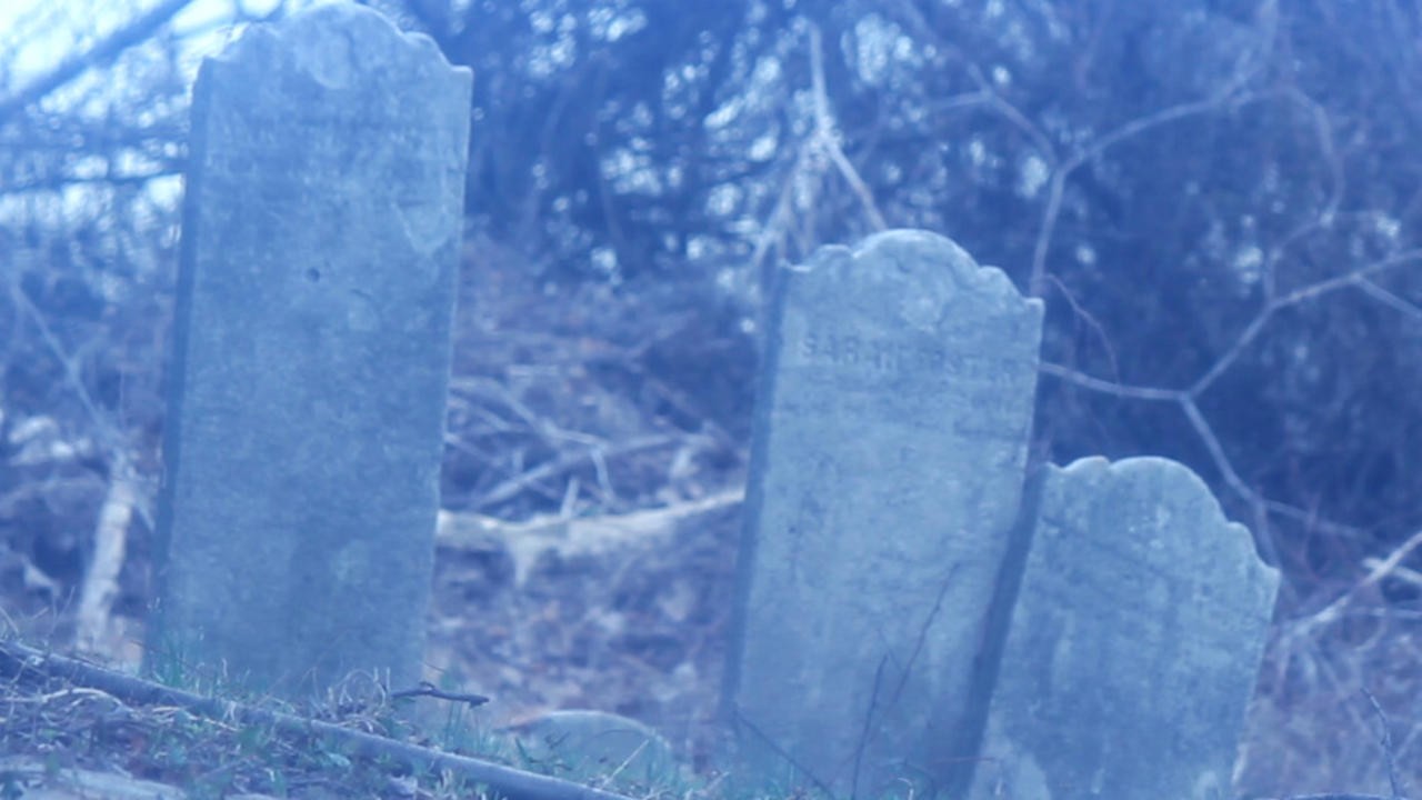 Violets Bloom at an Empty Grave