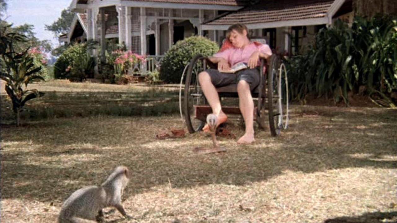 Rikki-Tikki-Tavi