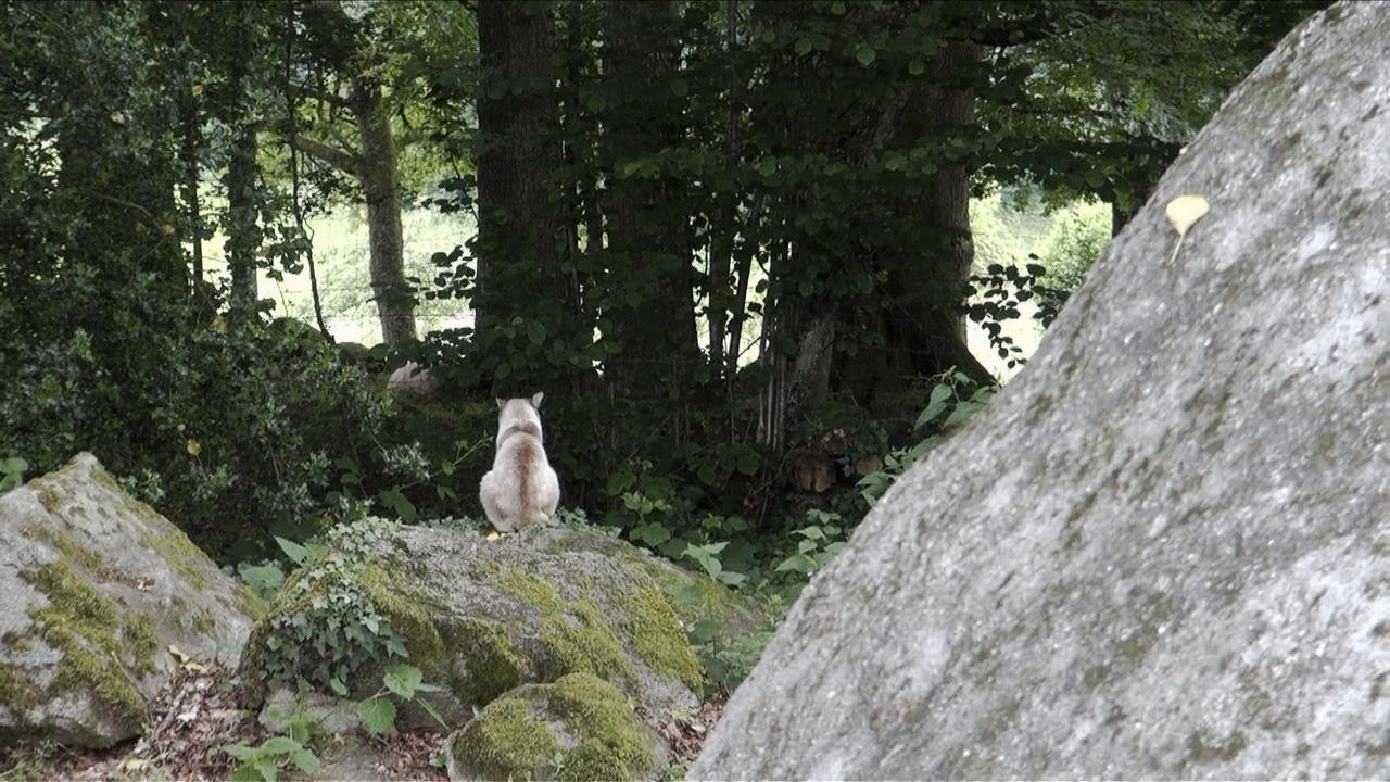 Image du film Le Paradis