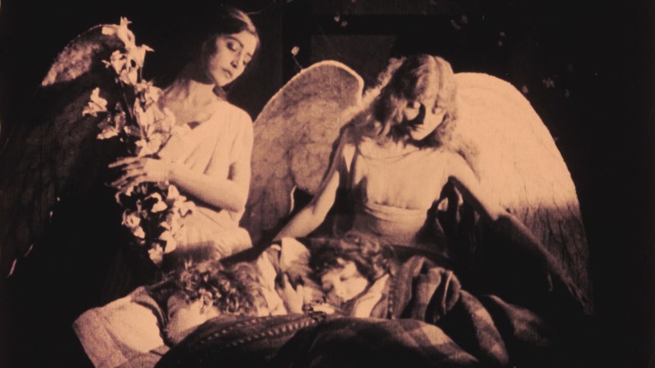 Image du film L'Oiseau bleu
