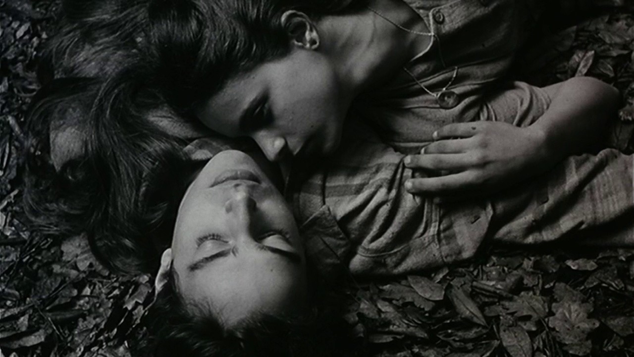 Image du film Fragile comme le monde