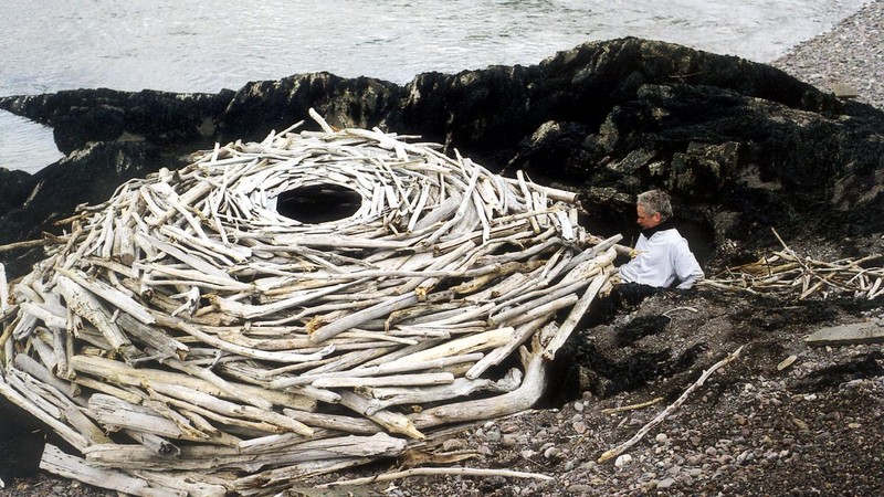 Rivers and Tides: Andy Goldsworthy Working with Time