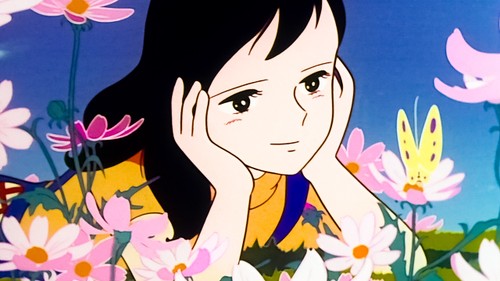 Yuki's Sun