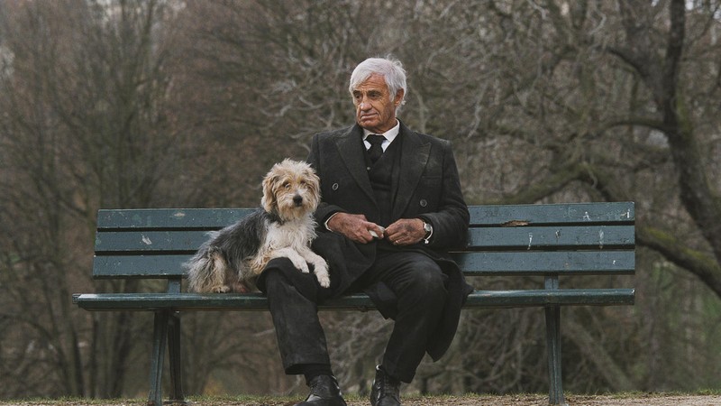 Un homme et son chien