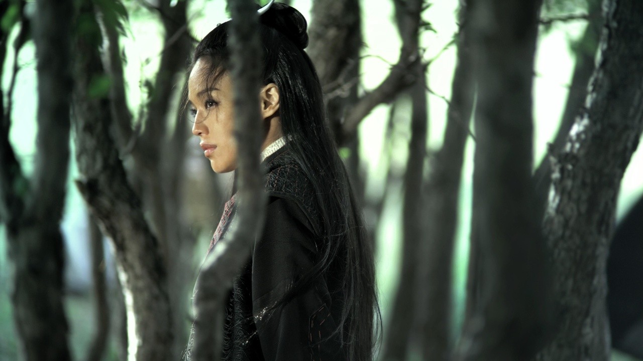 Image du film The Assassin