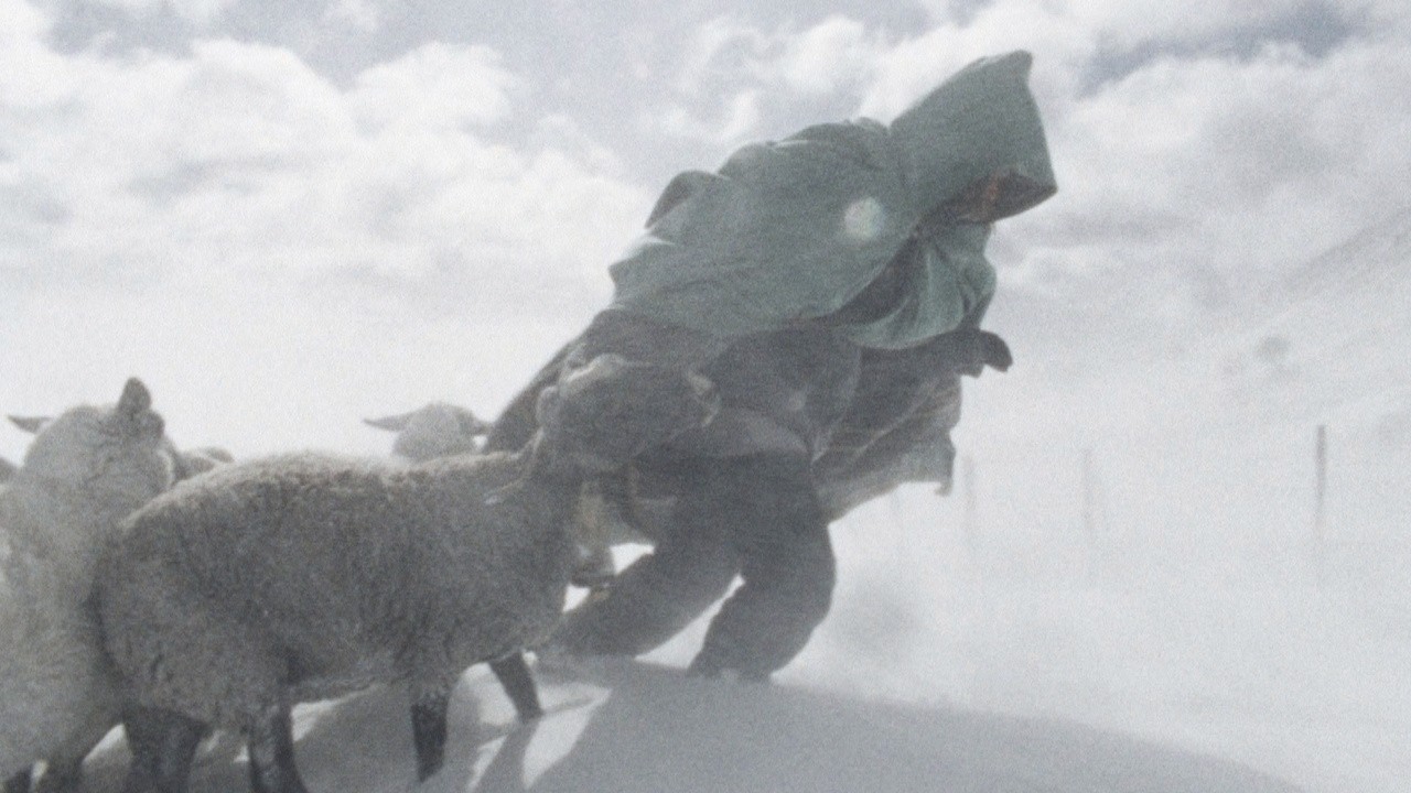 Image du film Les Tourmentés