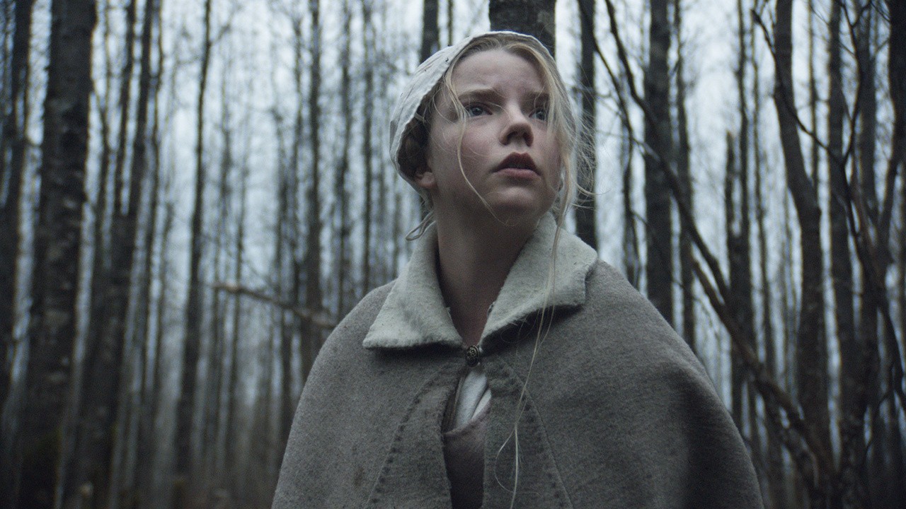 Image du film The Witch
