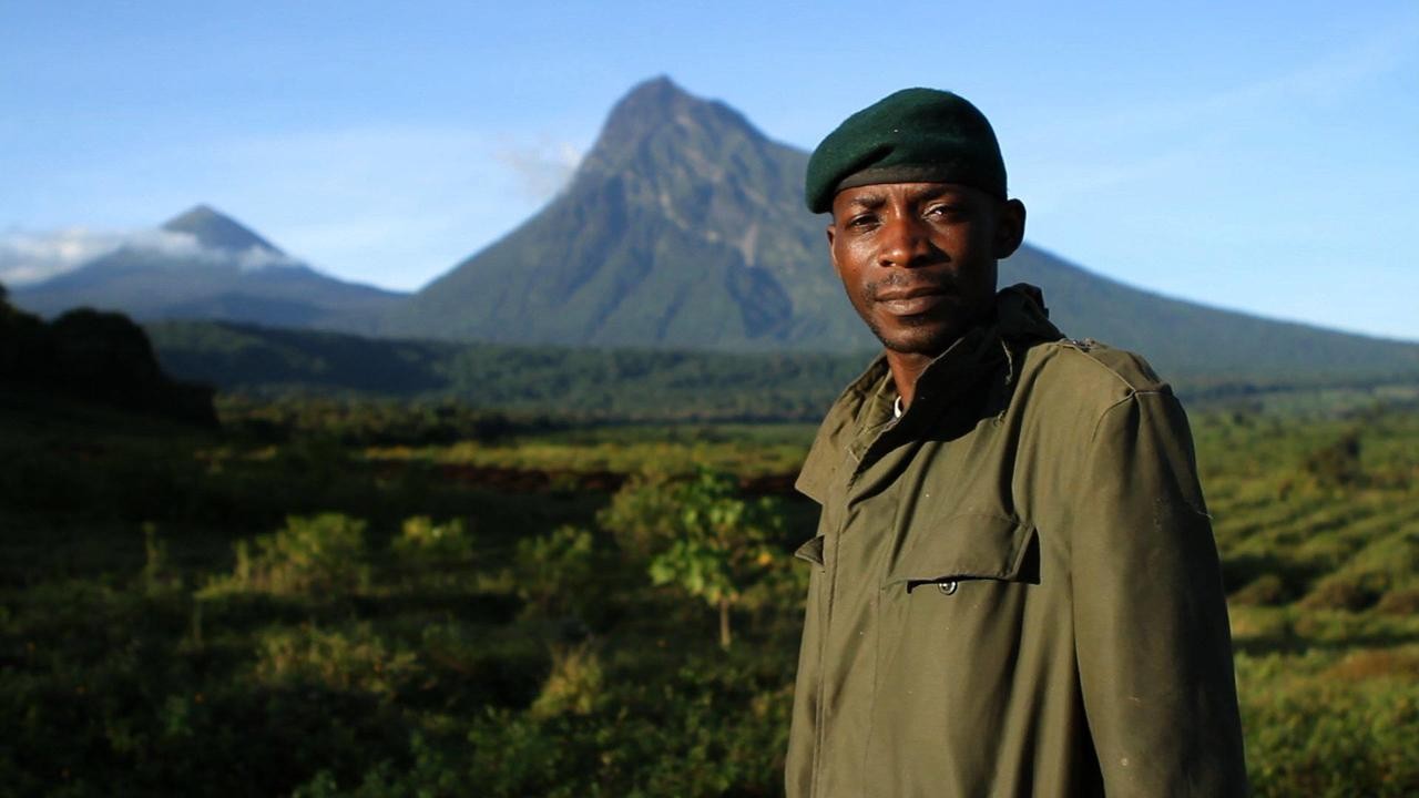 Virunga