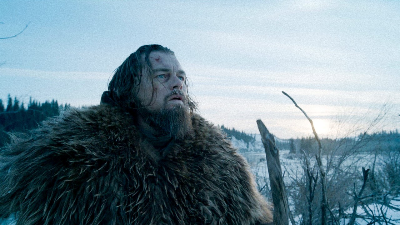 Image du film The Revenant