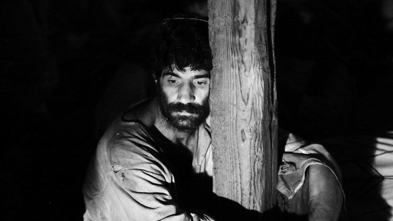 Image du film Aferim!