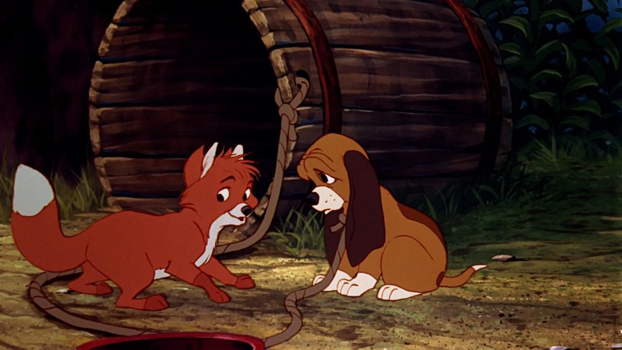 Image du film Rox et Rouky