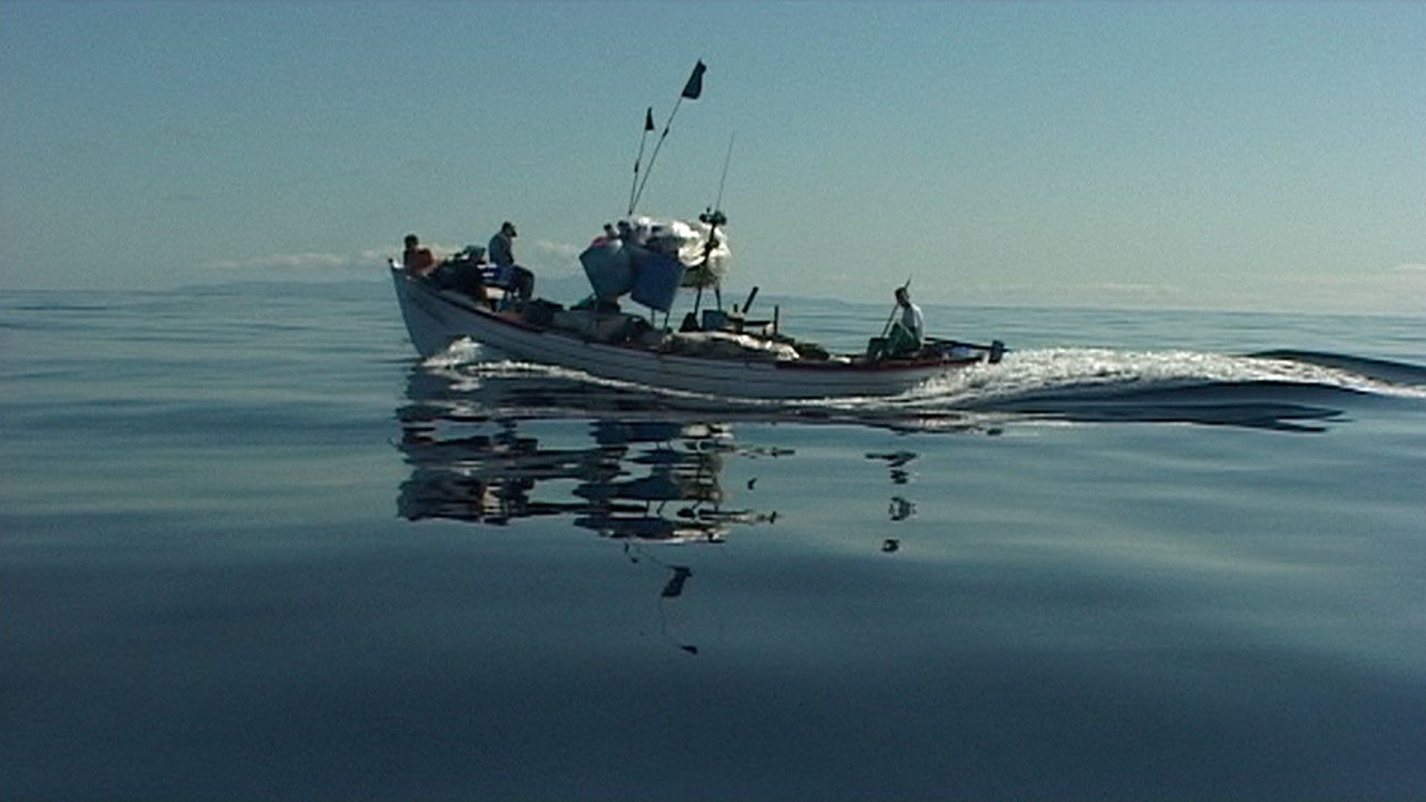 Image du film Le chant d'une île
