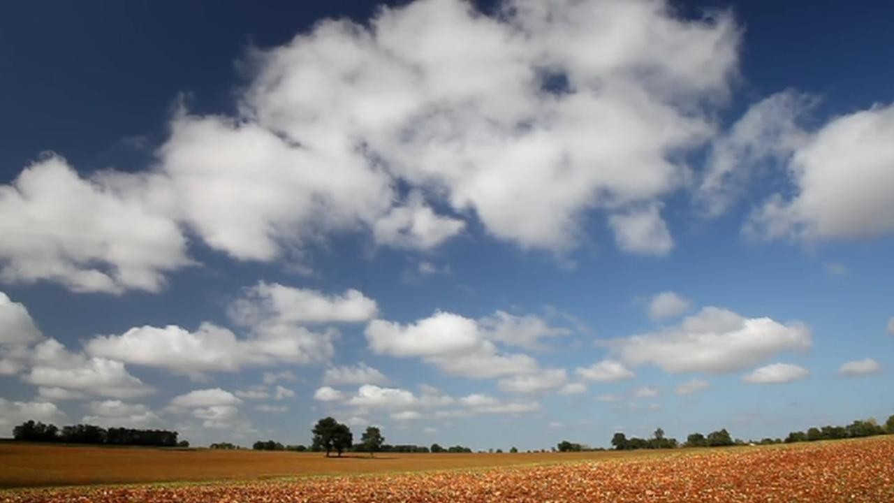 Image du film Les Fils de la terre