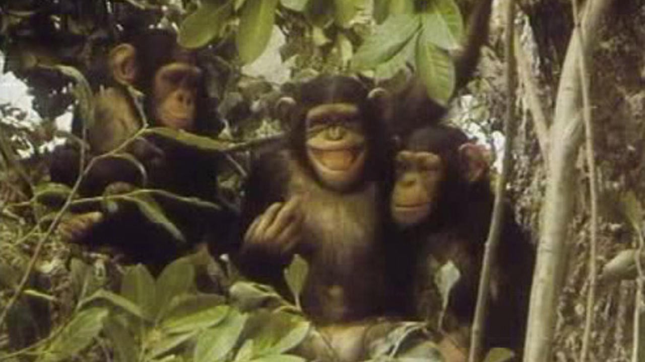 Mystery on Monster Island