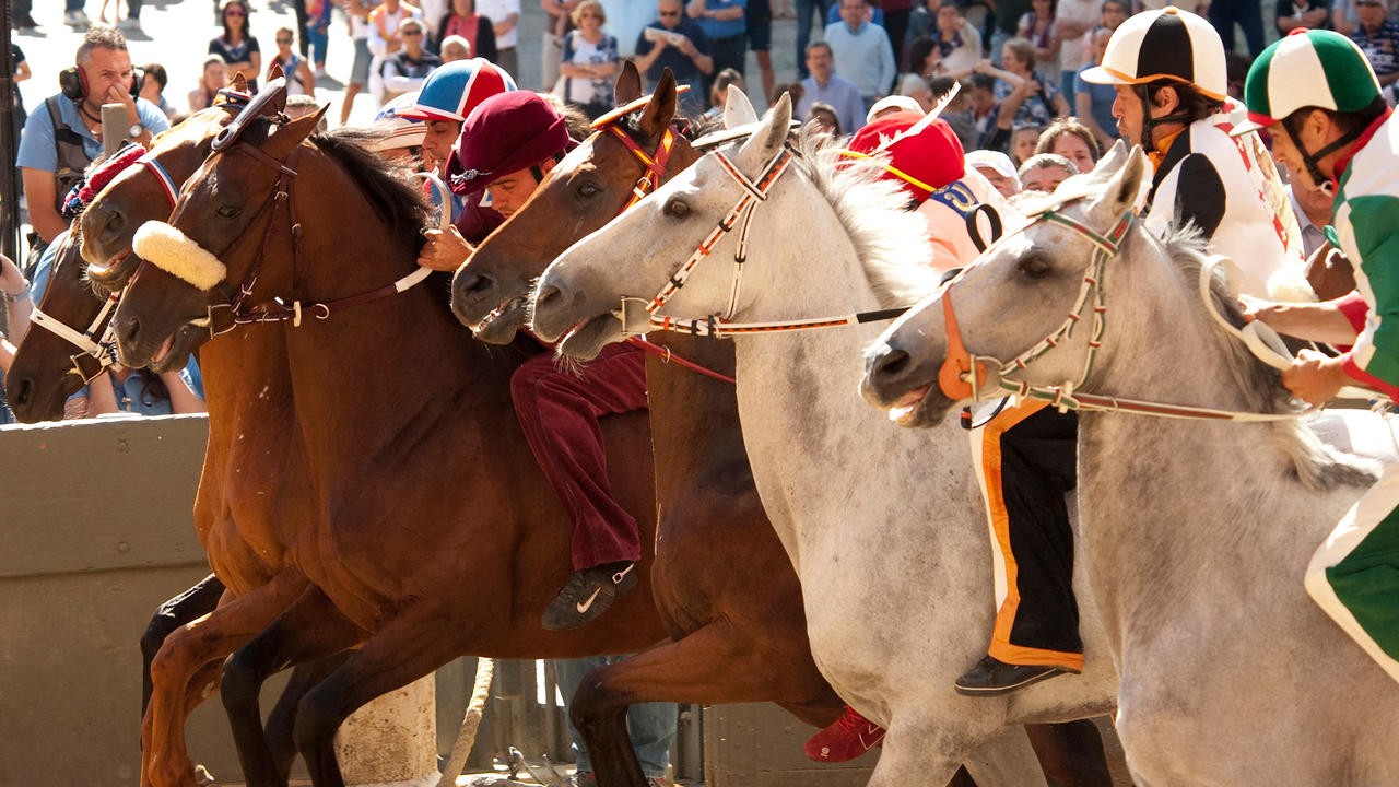 Palio