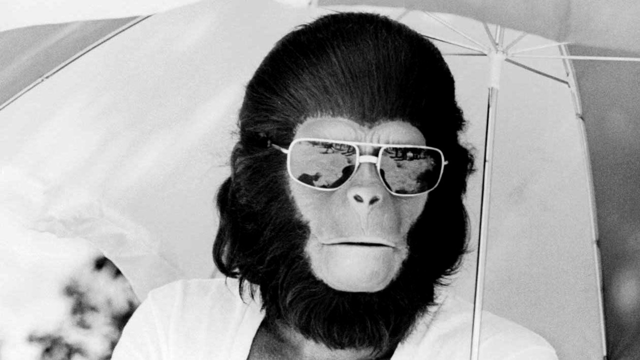 Behind the Planet of the Apes