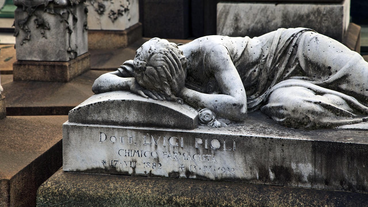 Flight from Death: The Quest for Immortality