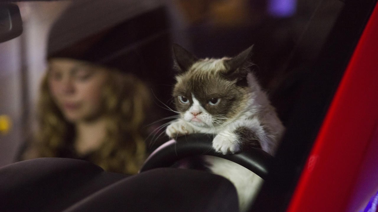 Grumpy Cat's Worst Christmas Ever