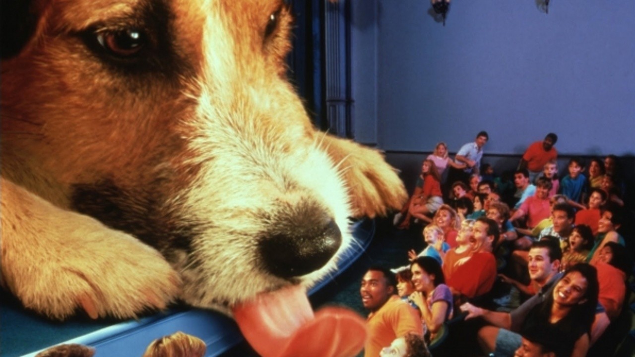 Honey, I Shrunk the Audience
